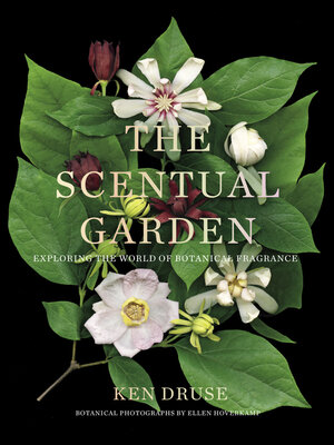 cover image of The Scentual Garden